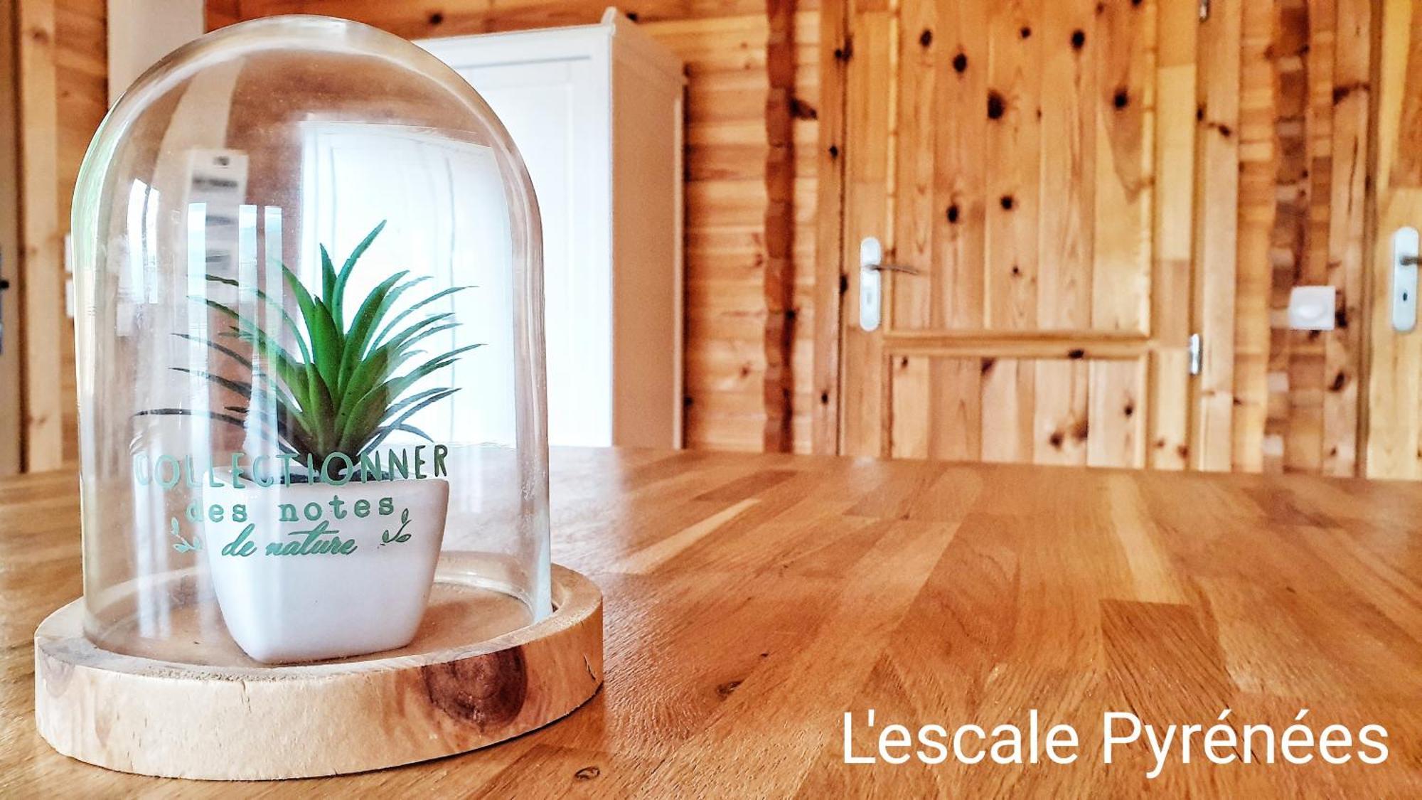 Le Chalet Jacuzzi Et Detente 4 Etoiles Bagnères-de-Bigorre Exterior foto